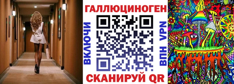 как найти   Злынка  Псилоцибиновые грибы мухоморы 
